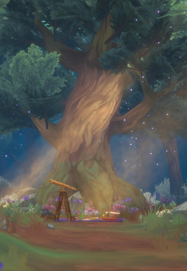 Wizard's Haven